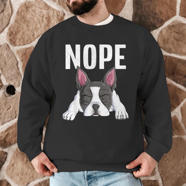 Nope Boston Terrier Puppy Dog Bostie Lover Men Women Girls Kids Men Graphic Sweatshirt, novelty gifts, funny gifts