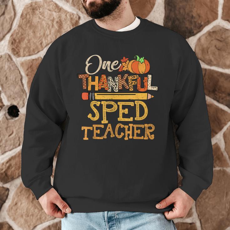 One Thankful Sped Teacher Cute Thanksgiving Women Men Graphic Sweatshirt, novelty gifts, funny gifts One Thankful Sped Teacher Cute Thanksgiving Women Men Graphic Sweatshirt, novelty gifts, funny gifts