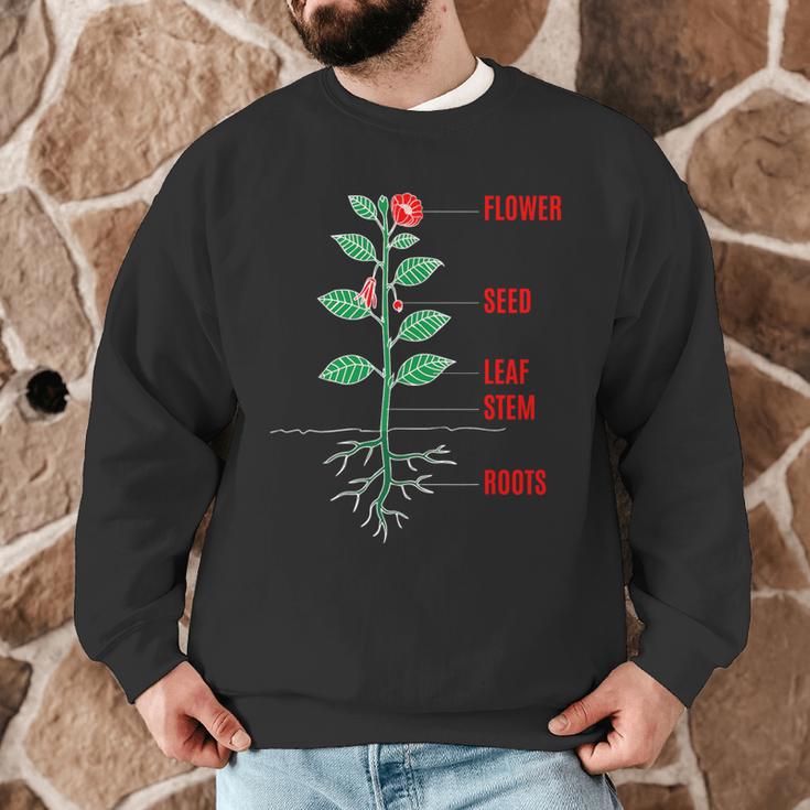 Parts Of a Plant Science For Teachers Kids And Students Men Graphic Sweatshirt, novelty gifts, funny gifts Parts Of a Plant Science For Teachers Kids And Students Men Graphic Sweatshirt, novelty gifts, funny gifts