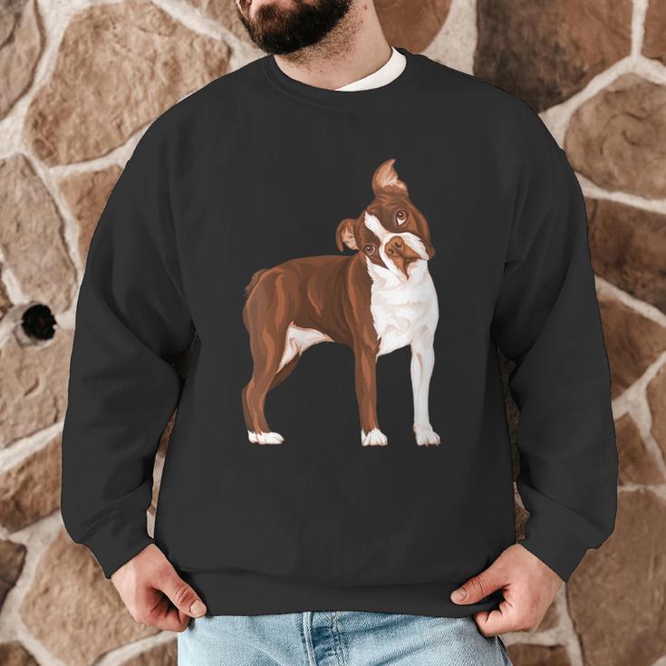 Red Boston Terrier Dog Men Graphic Sweatshirt, novelty gifts, funny gifts
