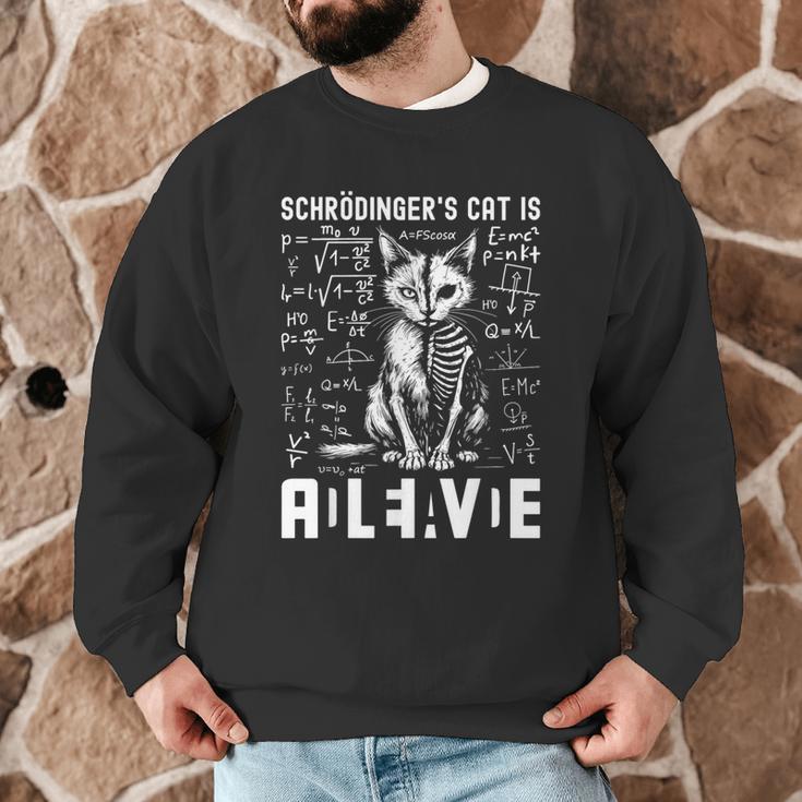 Schrodinger's Cat Dead And Alive Physics Teacher Men Graphic Sweatshirt, novelty gifts, funny gifts Schrodinger's Cat Dead And Alive Physics Teacher Men Graphic Sweatshirt, novelty gifts, funny gifts
