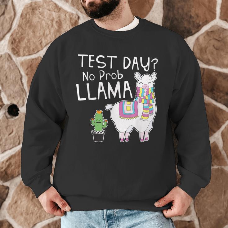 Teachers Testing Day Test Day No Prob Llama Teacher Men Graphic Sweatshirt, novelty gifts, funny gifts Teachers Testing Day Test Day No Prob Llama Teacher Men Graphic Sweatshirt, novelty gifts, funny gifts