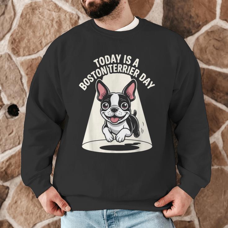 Today Is A Boston Terrier Day Cute Dog Lover Cartoon Men Graphic Sweatshirt, novelty gifts, funny gifts