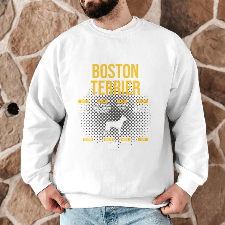 Anatomy Of Boston Terrier Dog Lover Men Graphic Sweatshirt, novelty gifts, funny gifts