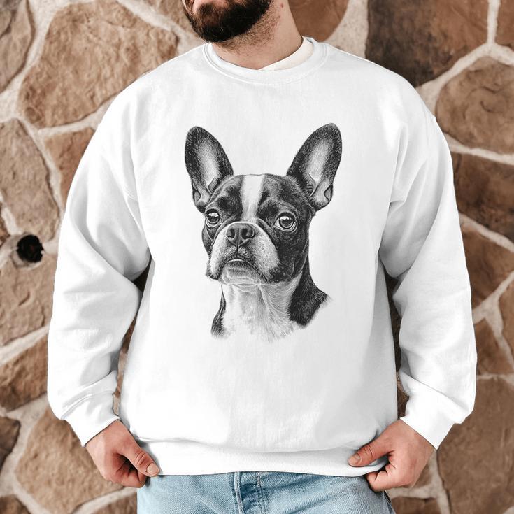 Boston Terrier Dog Motif Pet Illustration Boston Terrier For Men Women Kids Men Graphic Sweatshirt, novelty gifts, funny gifts