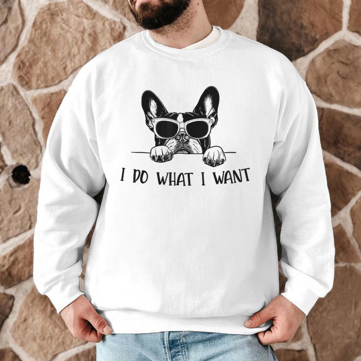 Boston Terrier Dog Owner I Do What I Want Pet Men Graphic Sweatshirt, novelty gifts, funny gifts