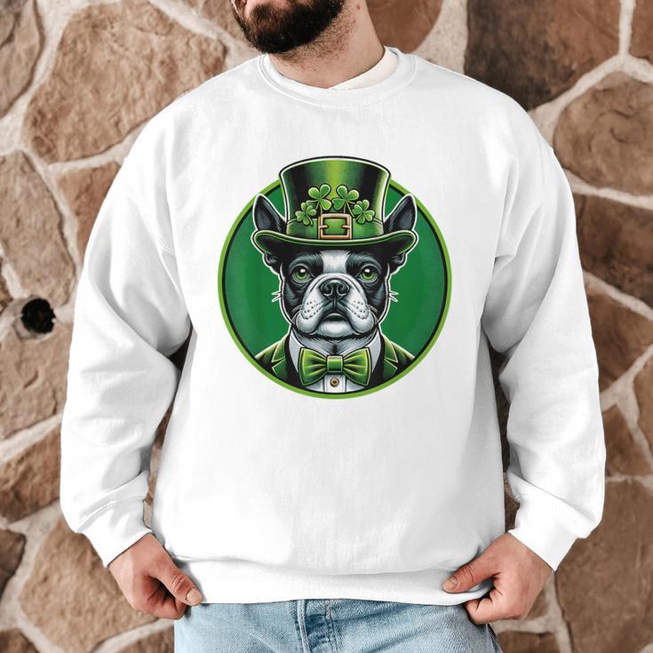 Boston Terrier Dog St Patricks Day Irish Pet Lover Men Women Kids Men Graphic Sweatshirt, novelty gifts, funny gifts
