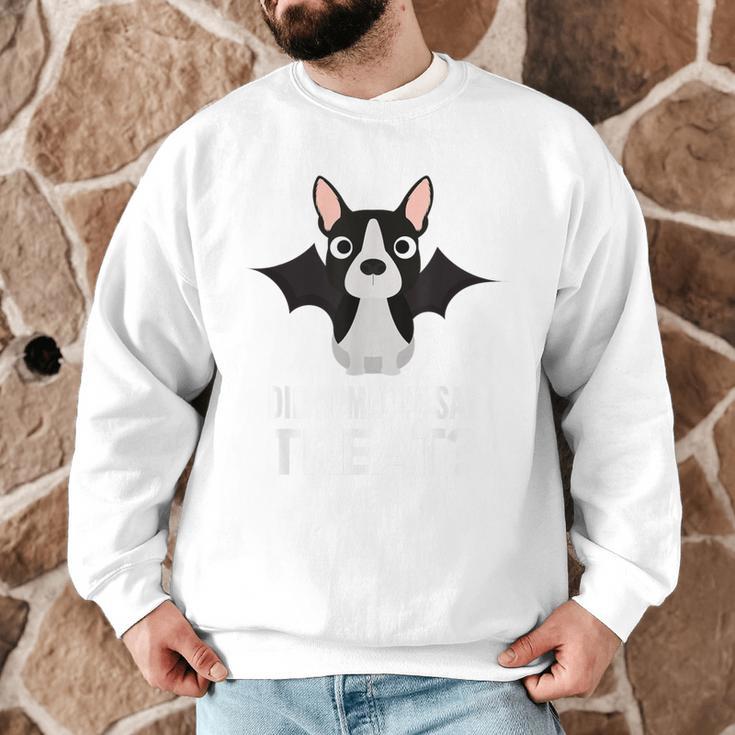Boston Terrier Halloween Shirt Did Someone Say Treat Men Graphic Sweatshirt, novelty gifts, funny gifts