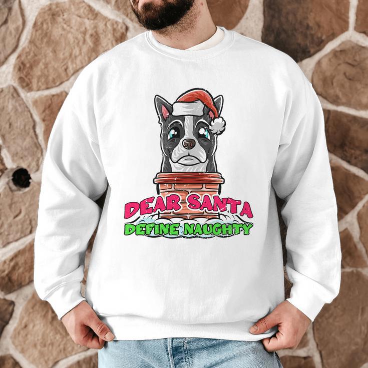 Boston Terrier Santa Claus Christmas Dog Men Graphic Sweatshirt, novelty gifts, funny gifts