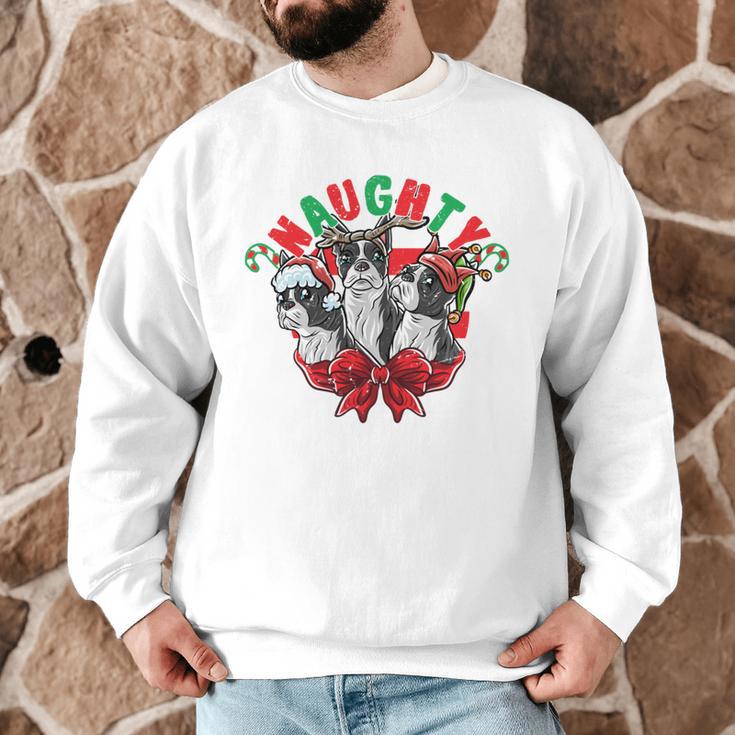 Boston Terrier Santa Claus Elf Reindeer Christmas Dog X-Mas Men Graphic Sweatshirt, novelty gifts, funny gifts