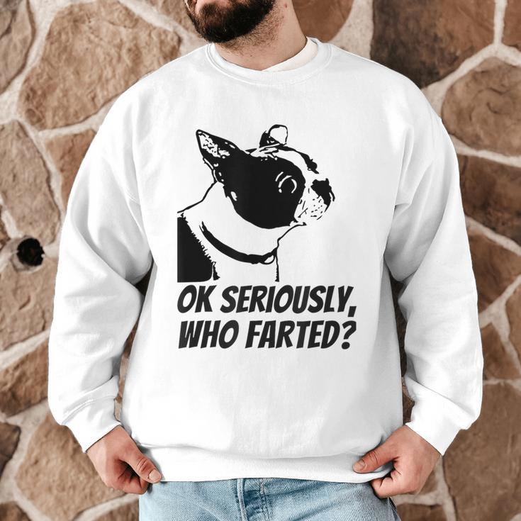 Boston Terrier Shirt Ok Seriously Who Farted Men Graphic Sweatshirt, novelty gifts, funny gifts