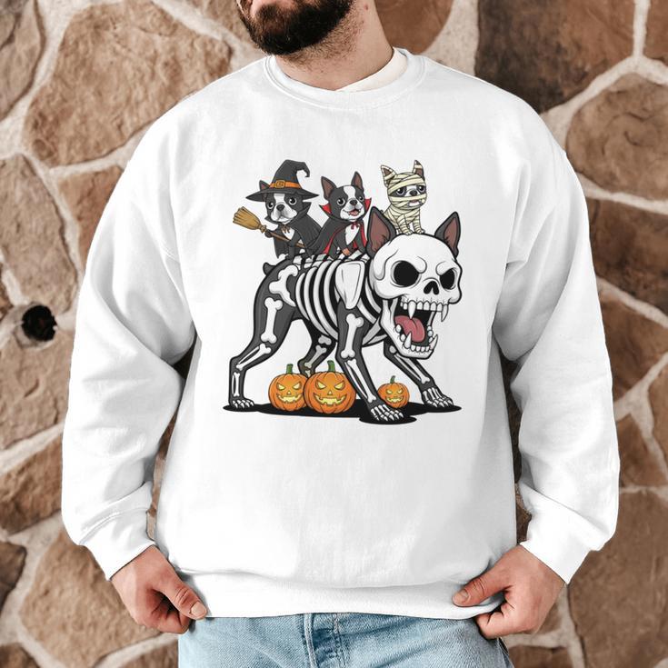 Boston Terrier Skeleton Mummy Witch Halloween Men Graphic Sweatshirt, novelty gifts, funny gifts