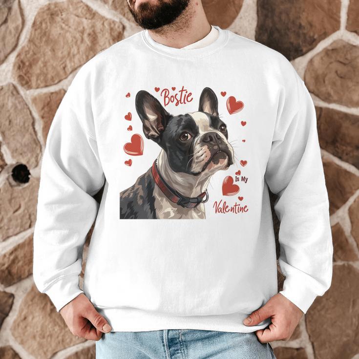 Boston Terrier Is My Valentine Cute Pet Dog Owner Valentine Men Graphic Sweatshirt, novelty gifts, funny gifts