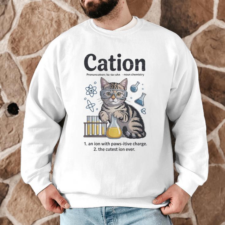 Cation Shirt Cat Science Chemistry Teacher Chemist Pun Men Graphic Sweatshirt, novelty gifts, funny gifts Cation Shirt Cat Science Chemistry Teacher Chemist Pun Men Graphic Sweatshirt, novelty gifts, funny gifts