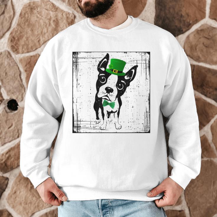 Cool Saint Patrick's Boston Terrier T Shirt For Dogs Lovers Men Graphic Sweatshirt, novelty gifts, funny gifts