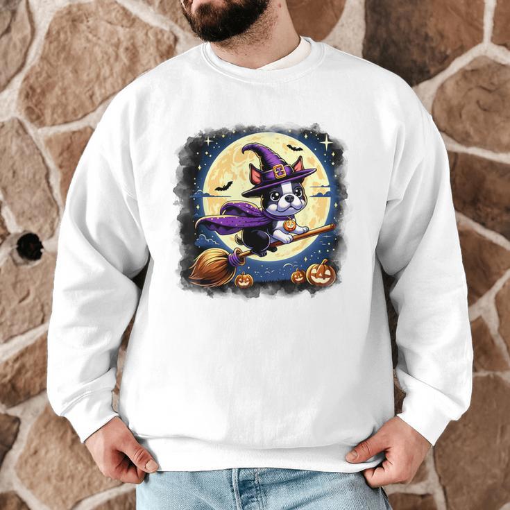 Cute Boston Terrier Halloween Costume Dog Lover Women Girls Men Graphic Sweatshirt, novelty gifts, funny gifts