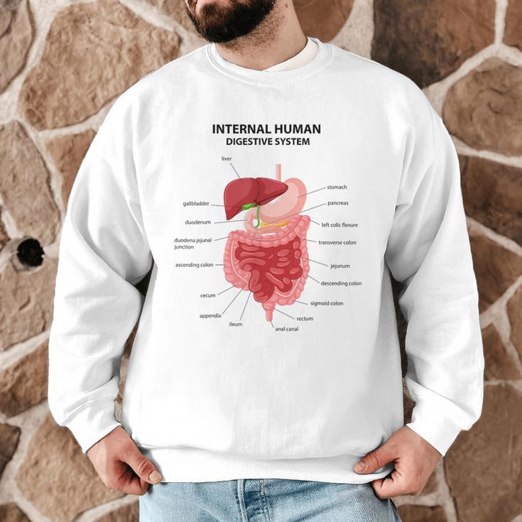 Digestive System Anatomy Anatomical Biology Teacher Men Women Men Graphic Sweatshirt, novelty gifts, funny gifts Digestive System Anatomy Anatomical Biology Teacher Men Women Men Graphic Sweatshirt, novelty gifts, funny gifts