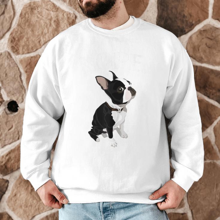 Love NOPE Boston Terrier Dog Lover Men Graphic Sweatshirt, novelty gifts, funny gifts