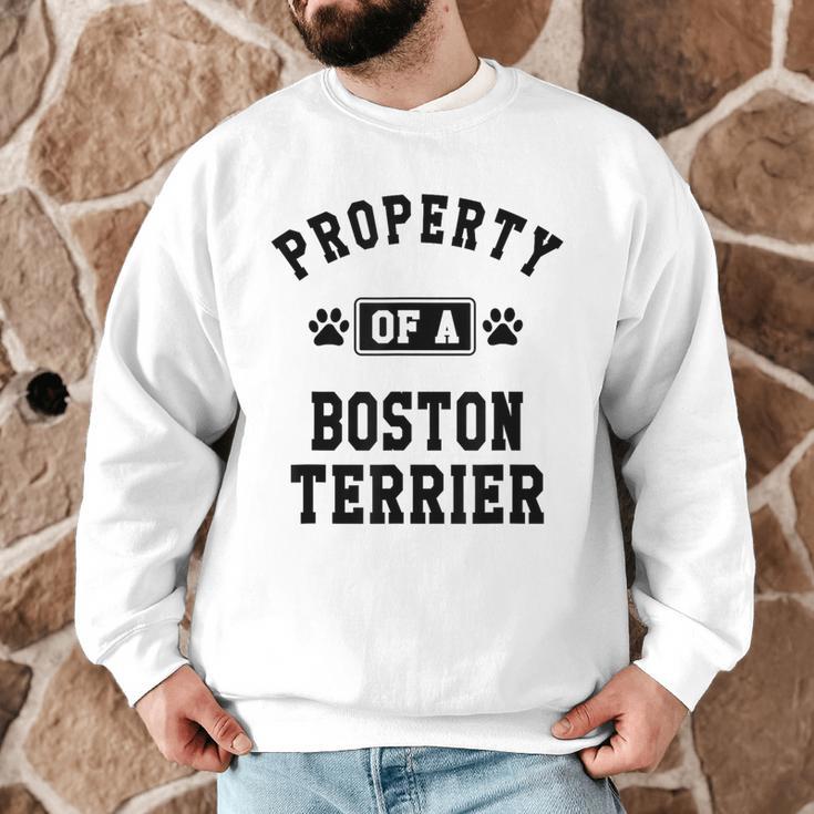 Property Of Boston Terrier Boston Terrier Shirt Men Graphic Sweatshirt, novelty gifts, funny gifts