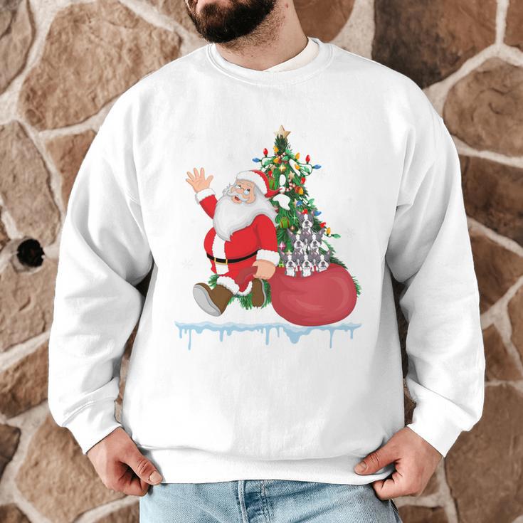 Santa Ugly Christmas Tree Lights Boston Terrier Dog Lover Men Graphic Sweatshirt, novelty gifts, funny gifts
