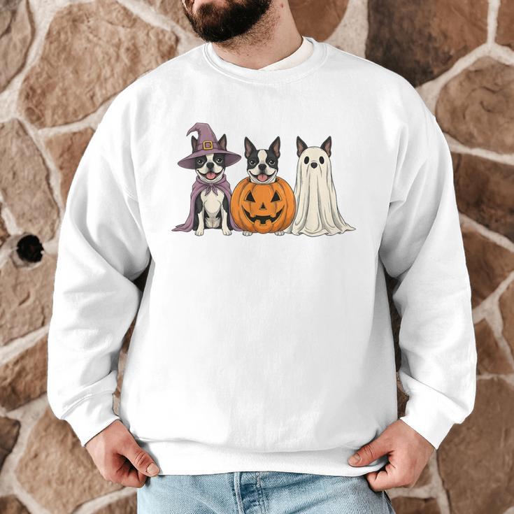 Spooky Ghost Boston Terrier Pumpkin Halloween Dog Lover Men Graphic Sweatshirt, novelty gifts, funny gifts