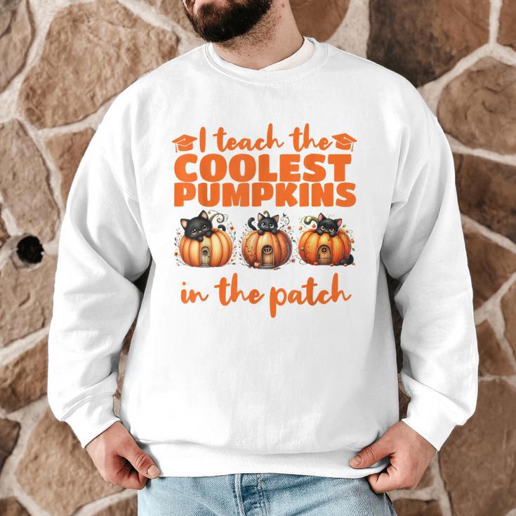 I Teach The Cutest Pumpkins Halloween Teacher Cat Lover Men Graphic Sweatshirt, novelty gifts, funny gifts