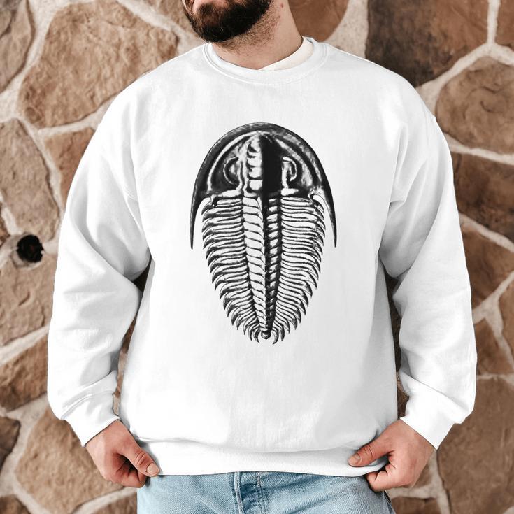 Trilobite Fossil Geology Teacher Student Geologist Men Graphic Sweatshirt, novelty gifts, funny gifts Trilobite Fossil Geology Teacher Student Geologist Men Graphic Sweatshirt, novelty gifts, funny gifts