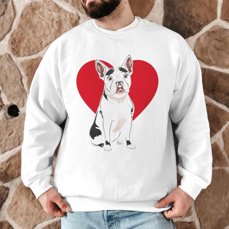 Valentine's Day Boston Terrier Lover Men Graphic Sweatshirt, novelty gifts, funny gifts