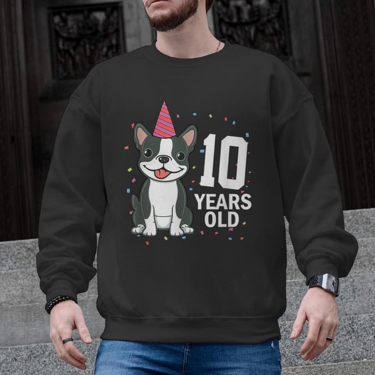 10 Years Old Birthday Boston Terrier Dog Lover 10th Party For Men Women Kids Men Graphic Sweatshirt