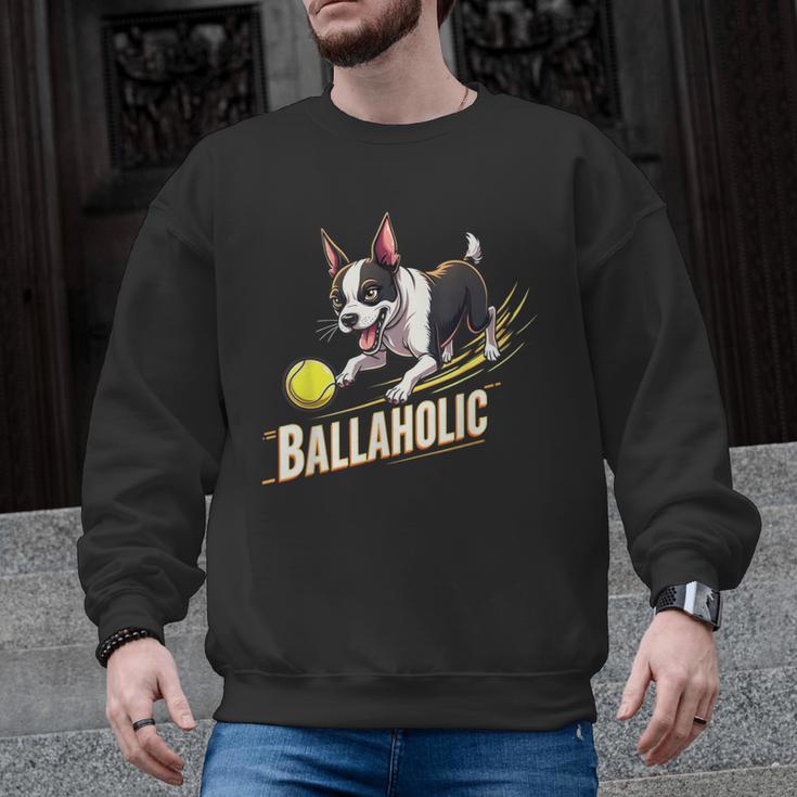 Ballaholic Boston Terrier Dog Chasing Bostie Ball Men Graphic Sweatshirt