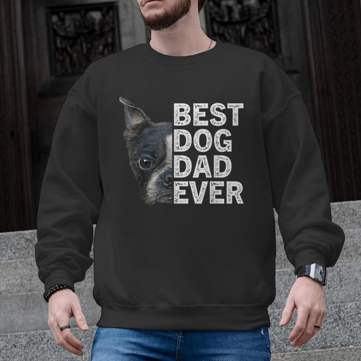 Best Dog Dad Ever Boston Terrier Dog Lover For Dad Men Women Girls Kids Men Graphic Sweatshirt