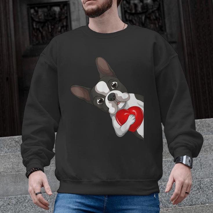 Boston Terrier Bostie Dog Kids Women Girls Men Graphic Sweatshirt, trending gift