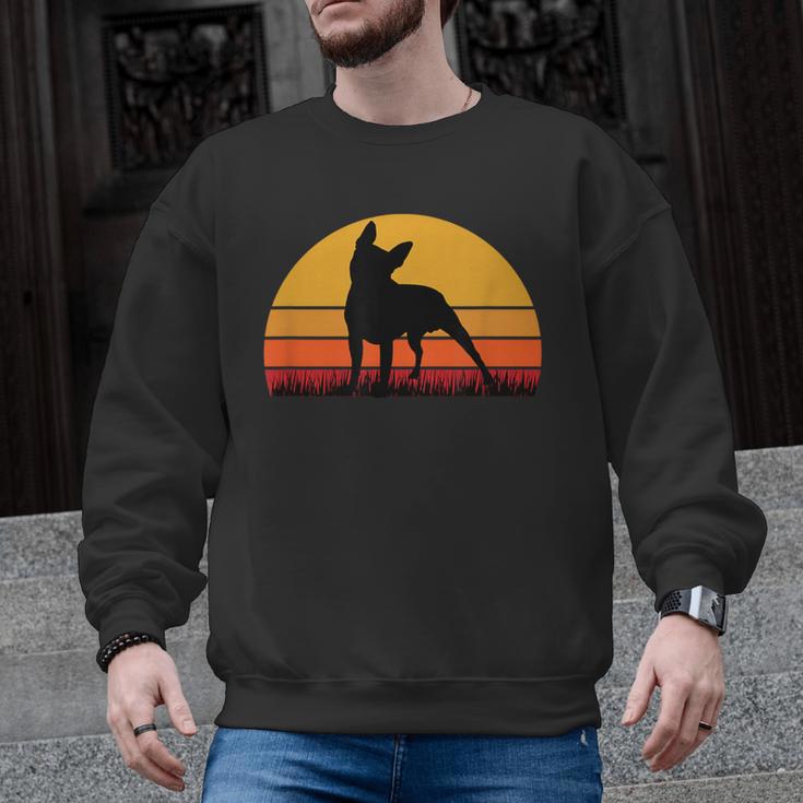 Boston Terrier Bostie Sunset Retro Dog Pet Mom Dad Men Graphic Sweatshirt