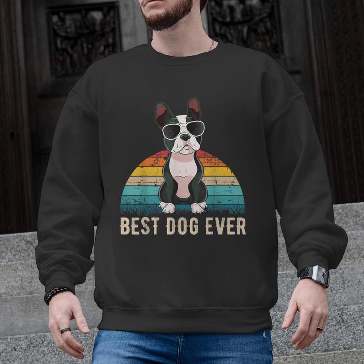 Boston Terrier Boston-Bulldog For Men Women Girls Kids Men Graphic Sweatshirt