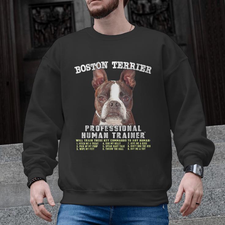 Boston Terrier Brindle Dog Professional Human Trainer Men Graphic Sweatshirt, trending gift