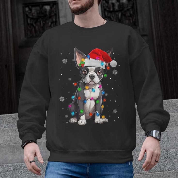 Boston Terrier Christmas Santa Hat Tree Lights Pajama Men Graphic Sweatshirt