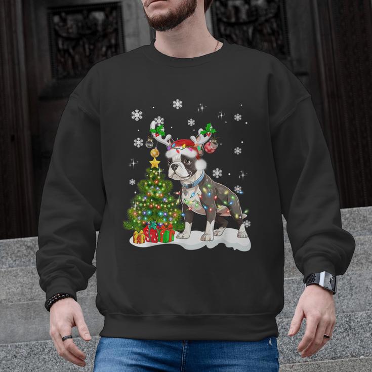 Boston Terrier Christmas Tree Lights Santa Hat Men Graphic Sweatshirt