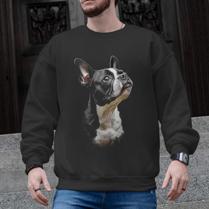 Boston Terrier Dog Graphic Pet Art Boston Terrier For Men Women Kids Men Graphic Sweatshirt