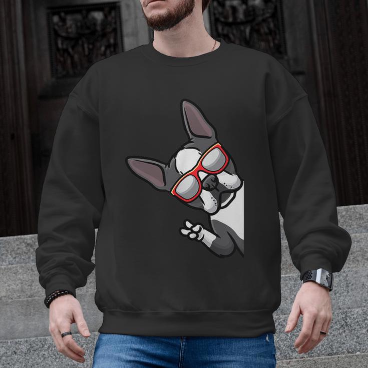 Boston Terrier Dog From Side Boston Bull Men Graphic Sweatshirt