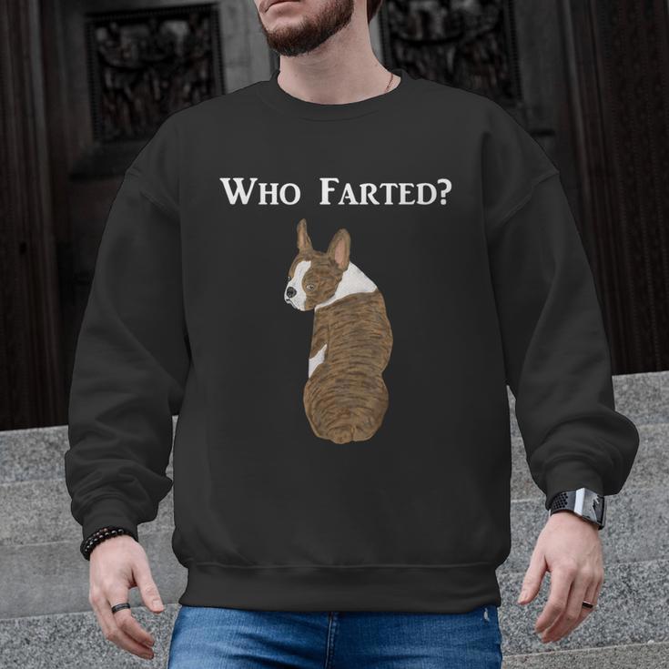 Boston Terrier Who Farted Men Graphic Sweatshirt