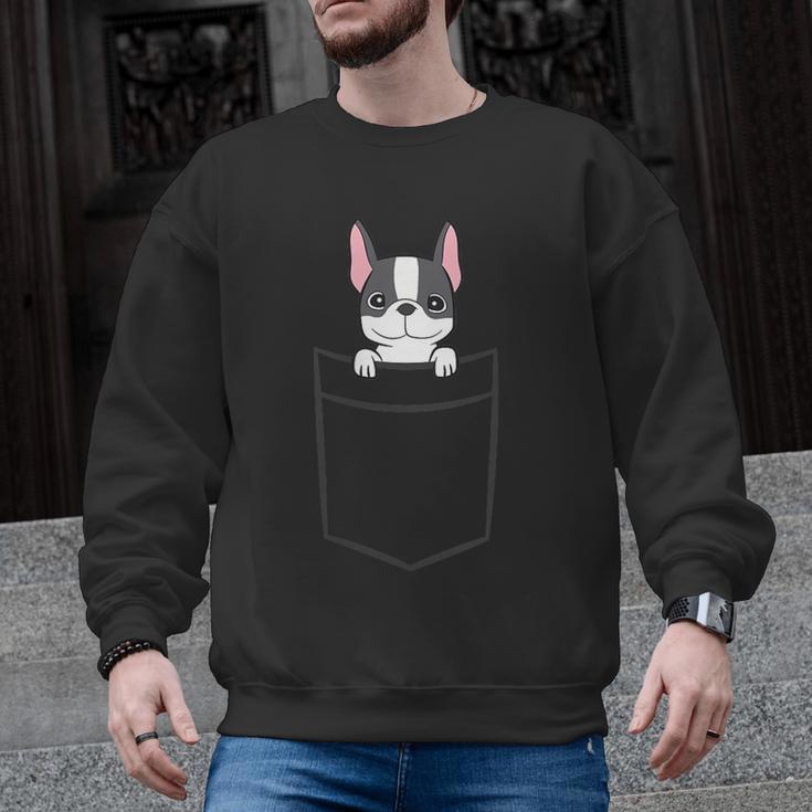 Boston Terrier In The Pocket Cute Boston Terrier Dog For Men Women Girls Kids Men Graphic Sweatshirt