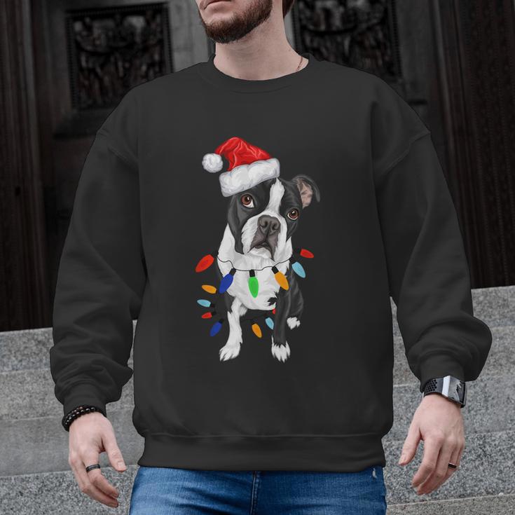 Boston Terrier Santa Christmas Lights Xmas Dog Lover Men Women Kids Men Graphic Sweatshirt