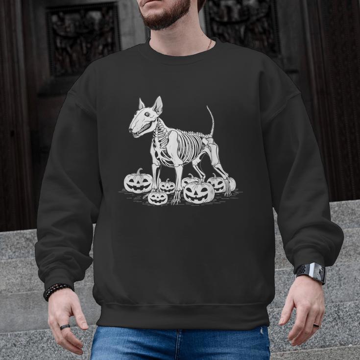 Bull Terrier Skeleton Birthday Halloween Kids Men Graphic Sweatshirt