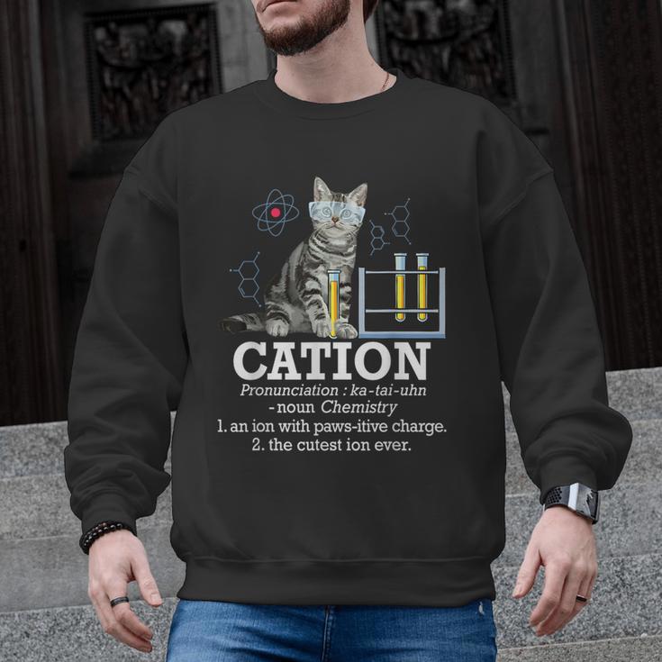 Cation Chemistry Humor Science Teacher Cat Pun Men Graphic Sweatshirt