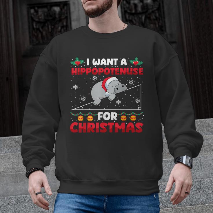 Christmas Math Teacher Hippopotenuse Math Lovers Xmas Men Graphic Sweatshirt