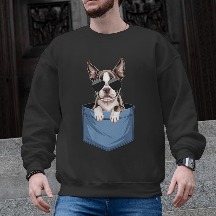 Cute Pocket Boston Terrier Lover Dog Mom Men Graphic Sweatshirt