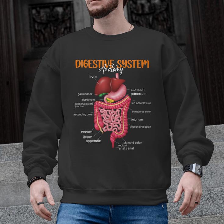 Digestive System Anatomy Anatomical Biology Teacher Men Graphic Sweatshirt