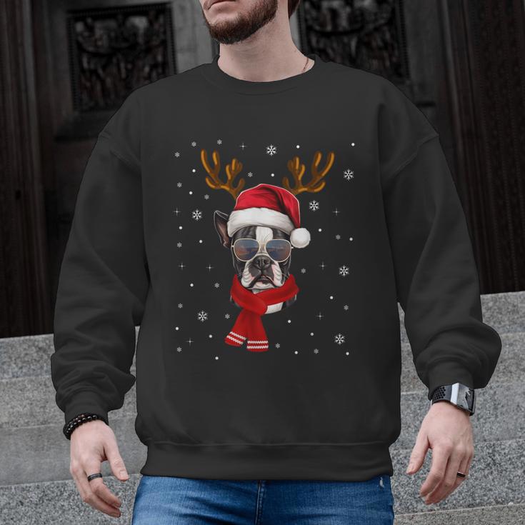 Family Matching Reindeer Xmas Boston Terrier Christmas Men Graphic Sweatshirt