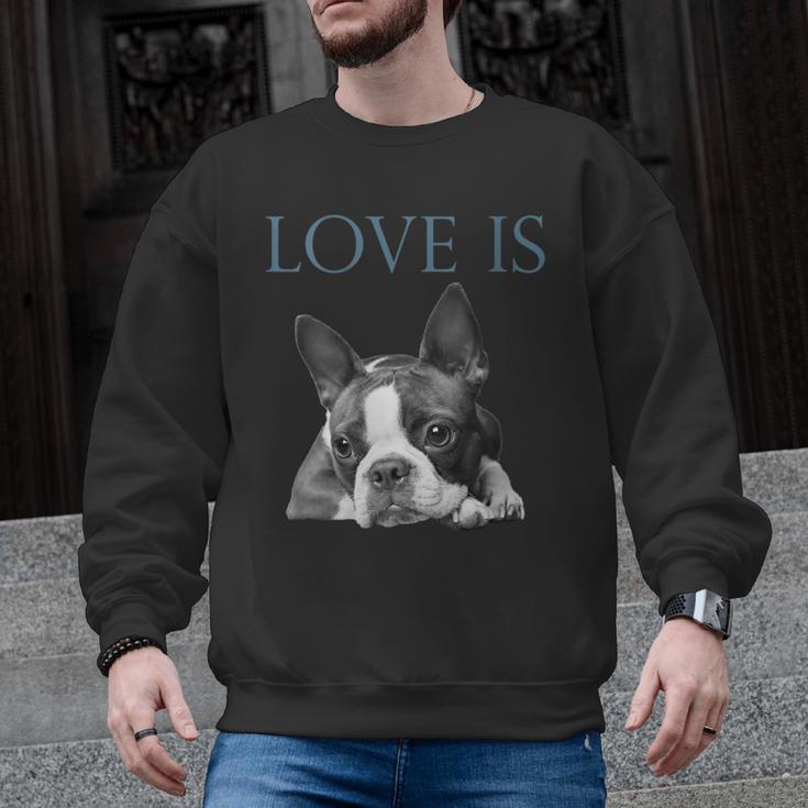 Love Is Boston Terrier Bostie Men Graphic Sweatshirt