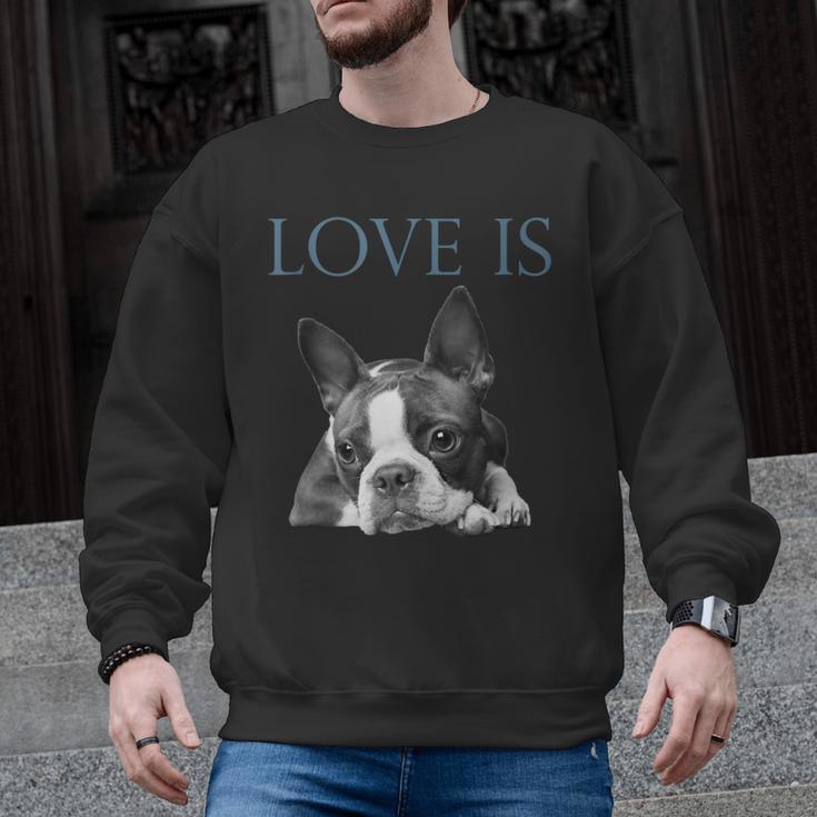 Love Is Boston Terrier Bostie Men Graphic Sweatshirt